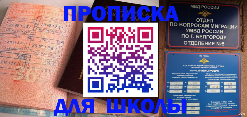 прописка гарантия в Благовещенске